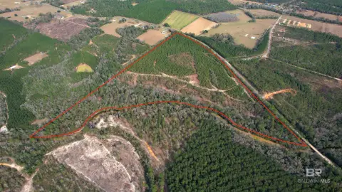 52 Acres on Styx River