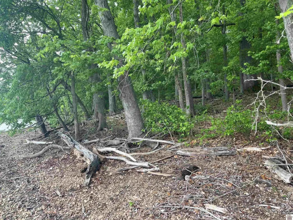 Picture 16