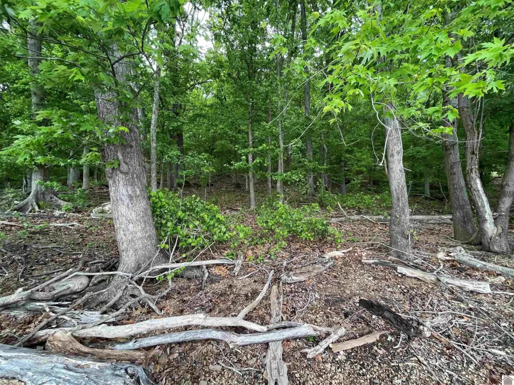Picture 18