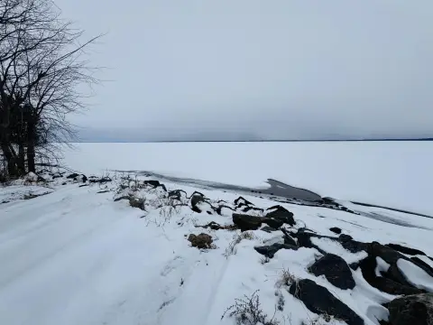 Wooded Lots Near Lake Petenwell