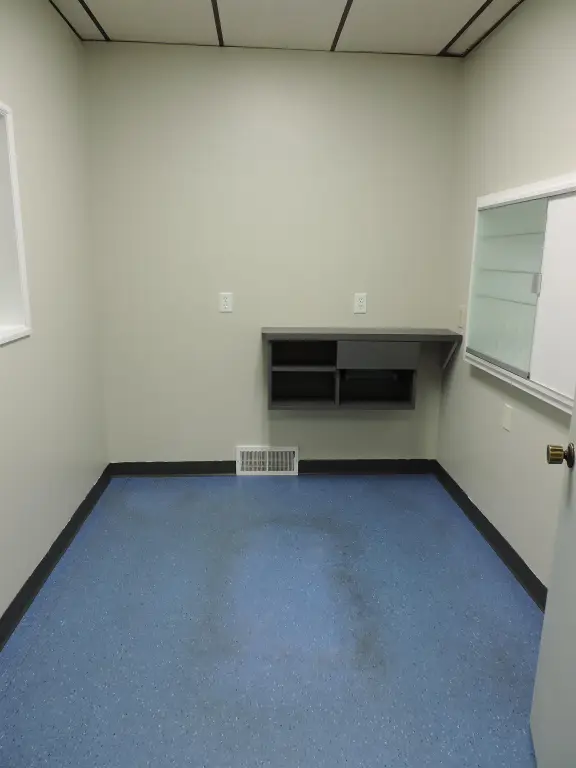 Picture 8