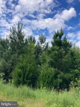 Kinsale, VA Agricultural Land