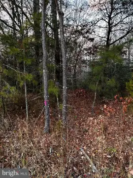 1.5-Acre Lot in Montross, VA