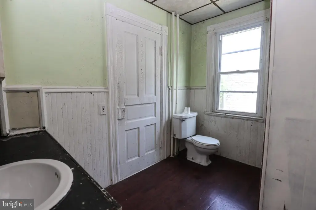 Picture 21