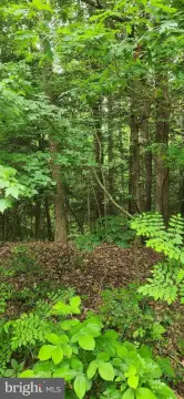 Land in Stratford Harbour Community