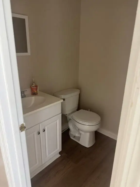 Picture 16
