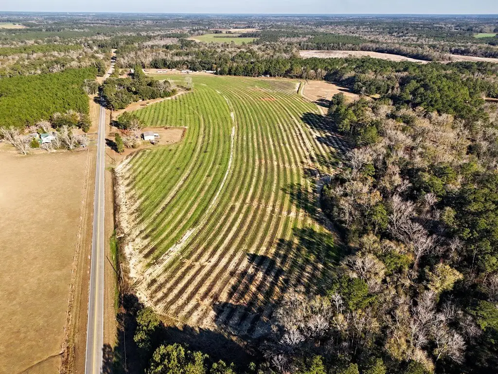 Picture 10