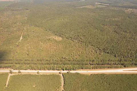 Greeleyville Land with Pond/Branch