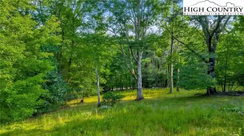 Wooded Land with Mountain Views