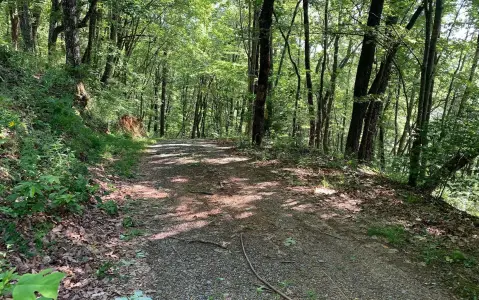 Unrestricted Land with Mountain Views