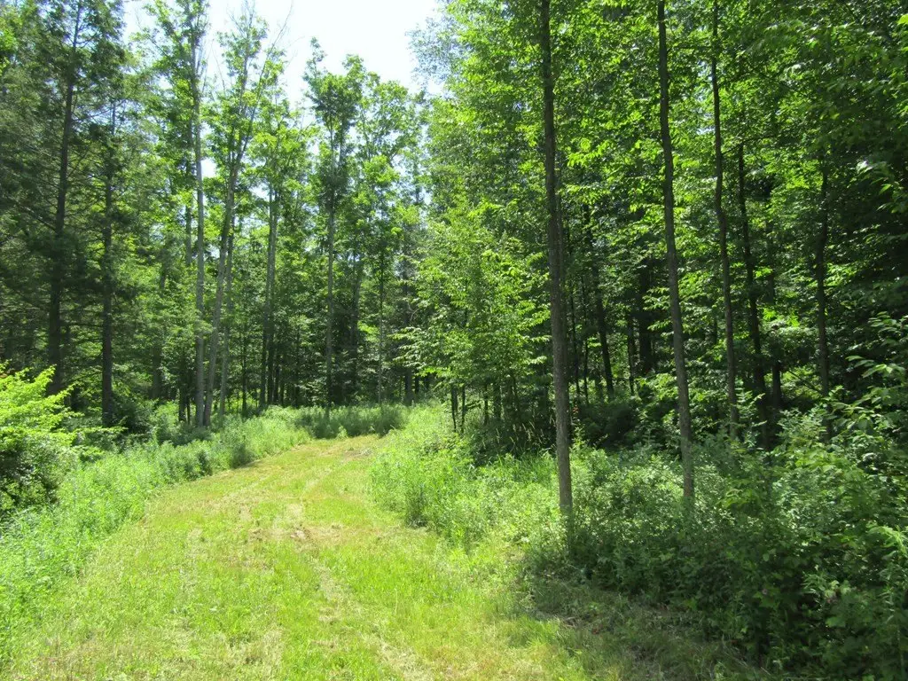 Picture 8