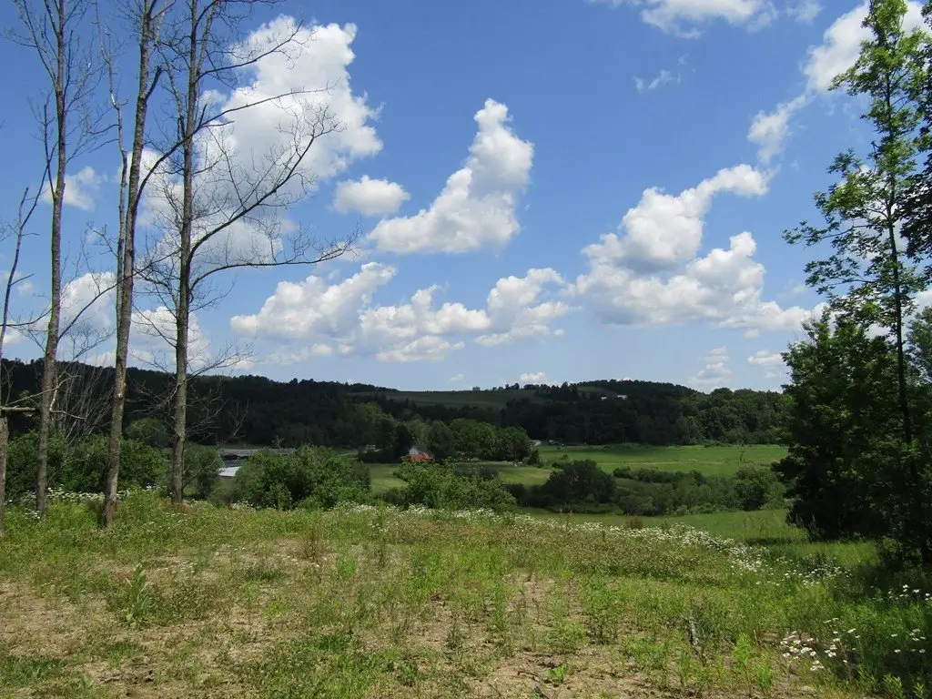 Picture 7