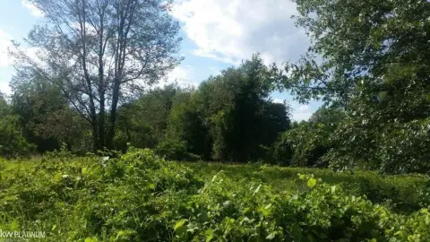 Residential Land in Oxford, MI