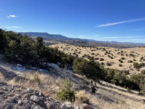 40 Acres in Magdalena, NM