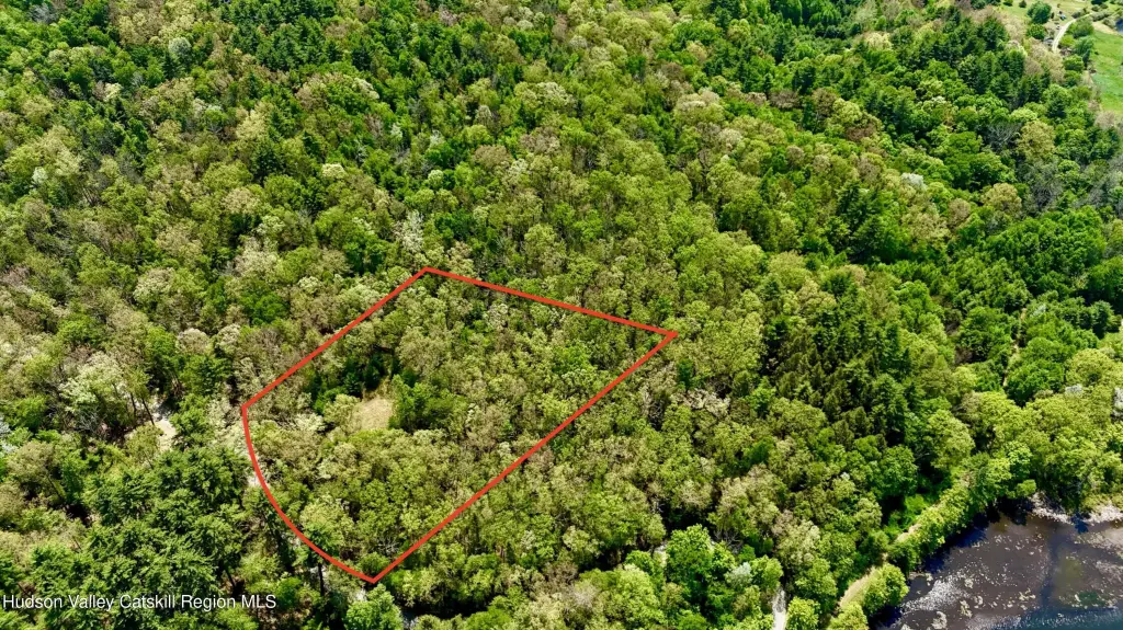 Picture 4