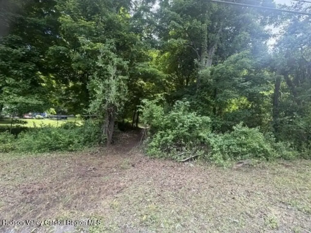Picture 8