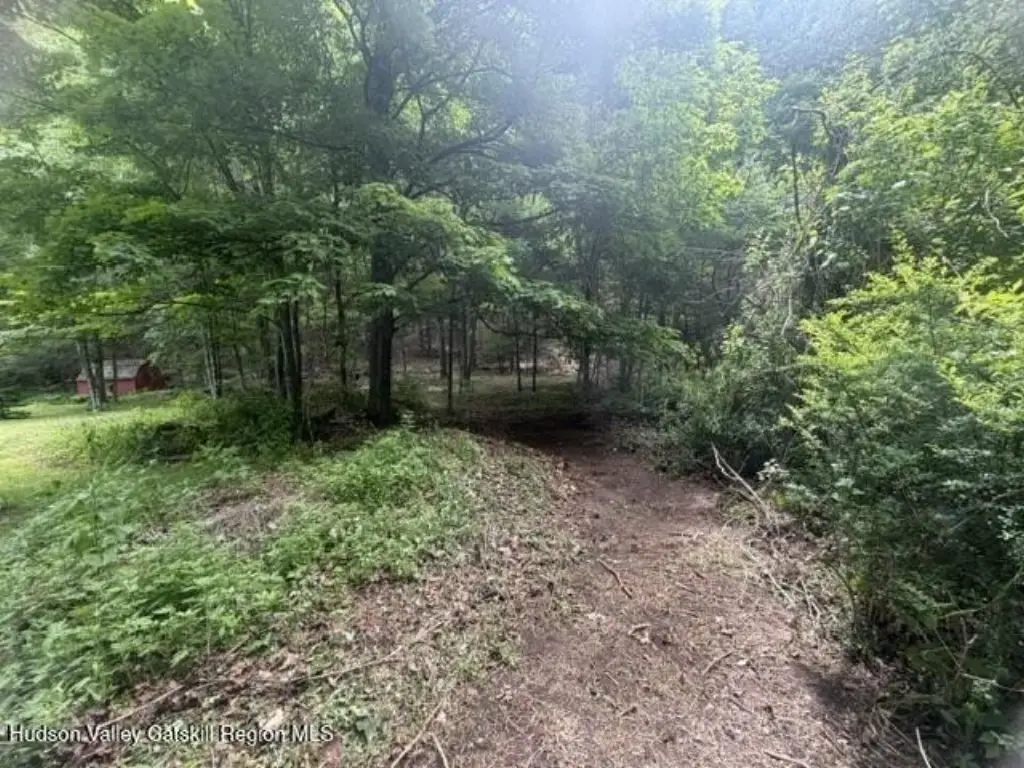 Picture 2