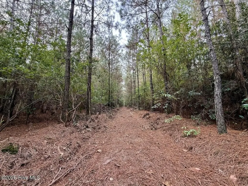 Picture 10