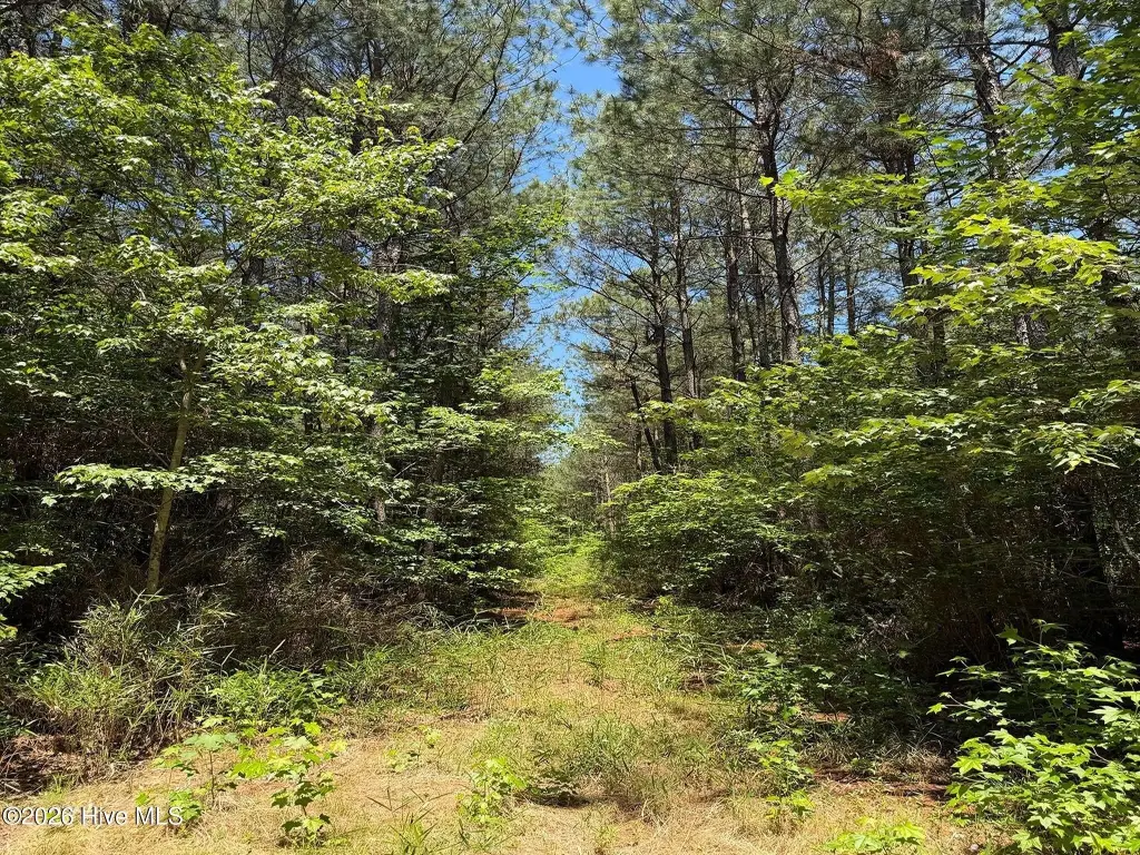 Picture 22
