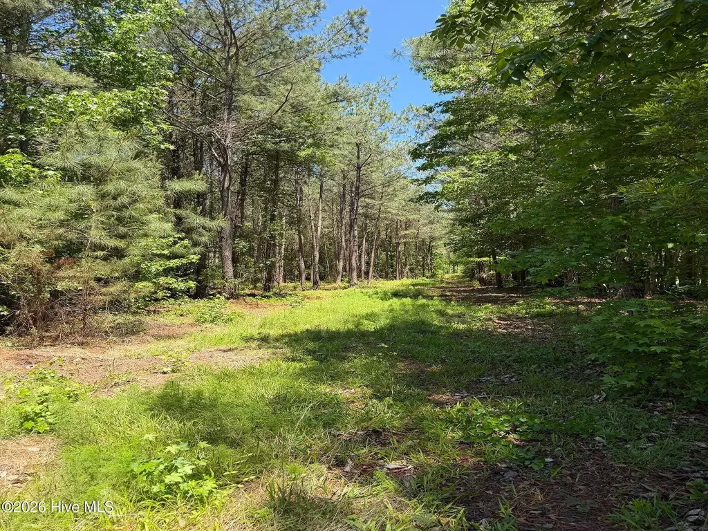 Picture 4