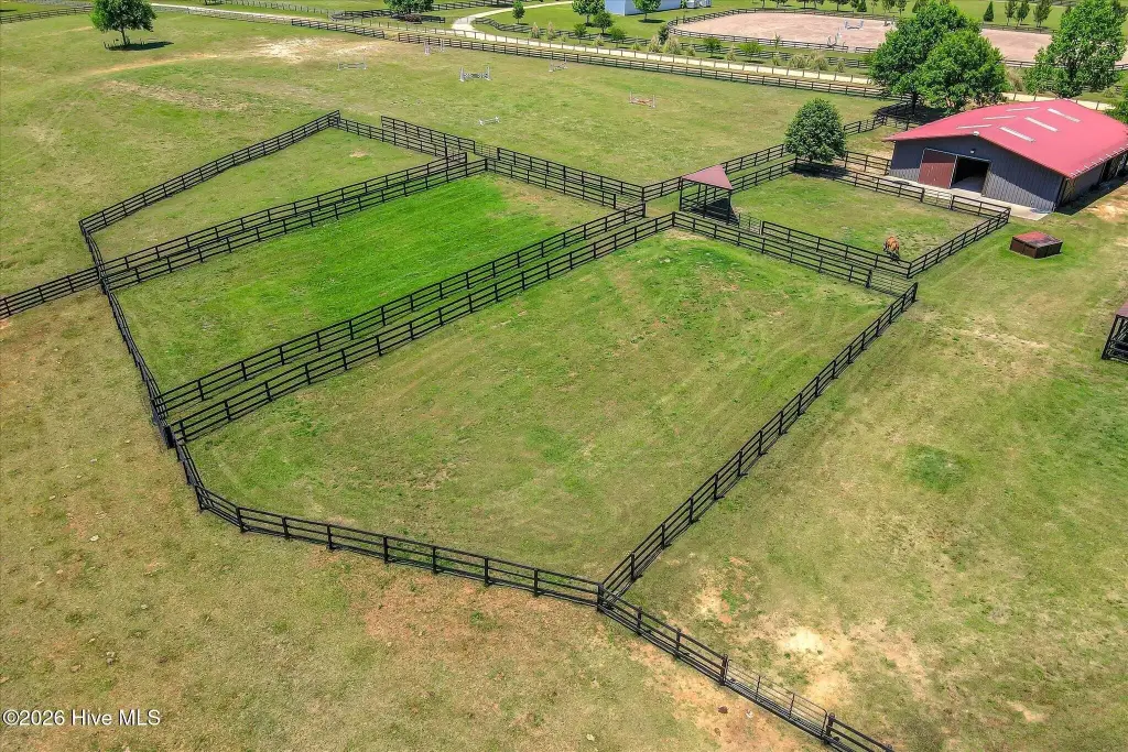 Picture 10
