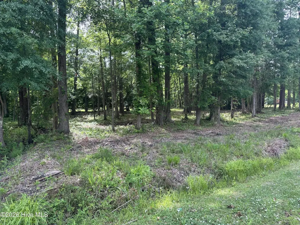 Picture 3