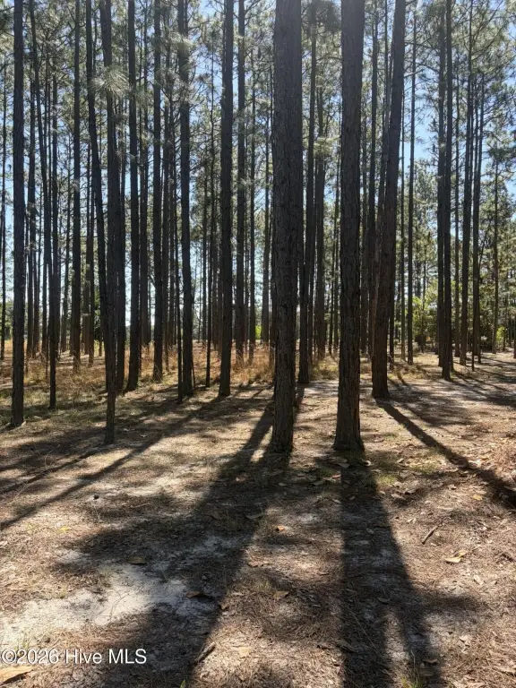 Picture 19