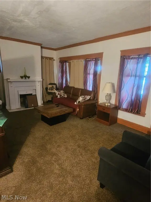 Picture 13