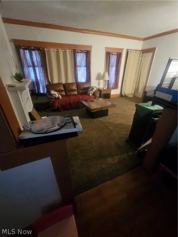 Picture 14