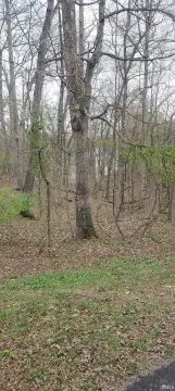 Residential Land in Gated Community