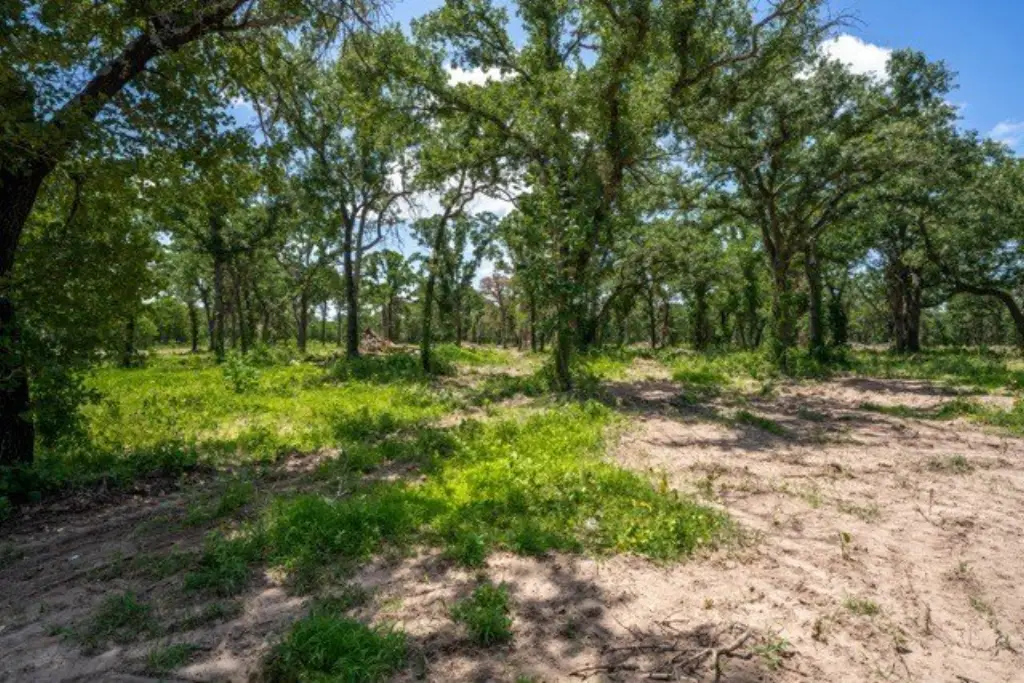 Picture 4