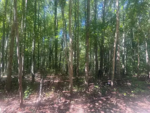 Fayetteville Land Near National Park
