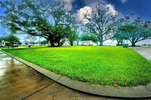 Residential Lot with Mature Oaks