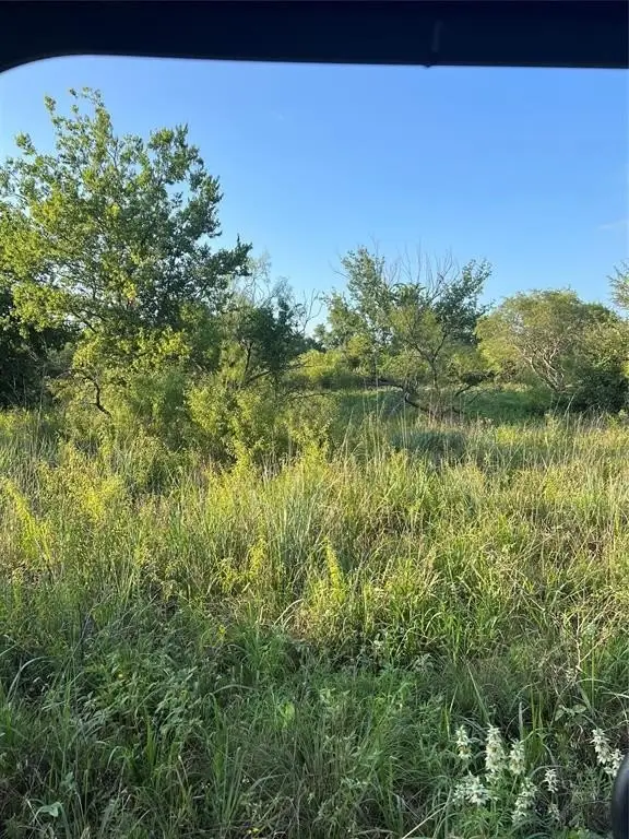Picture 2