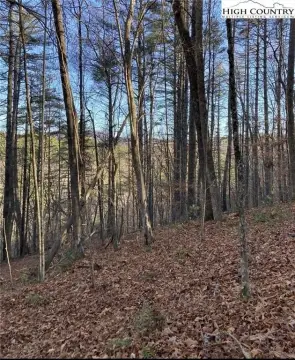 Newland Land with Toe River Frontage