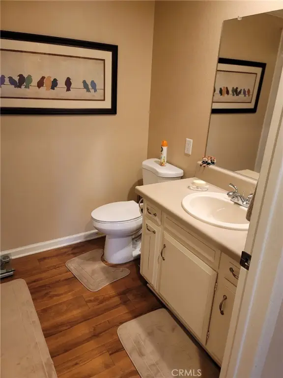 Picture 17