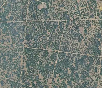 Raymondville Ranch Land For Sale