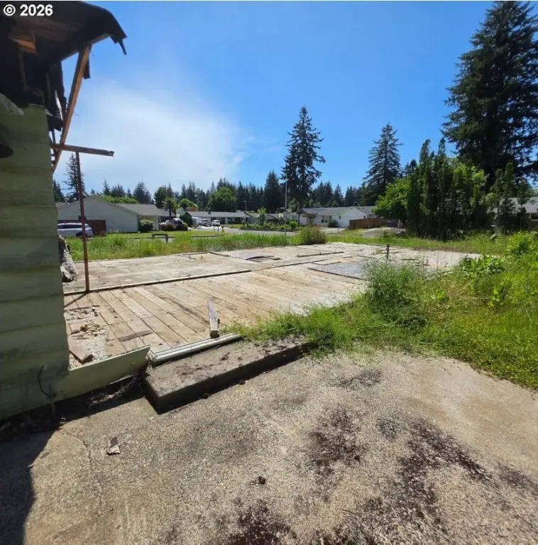 Picture 7
