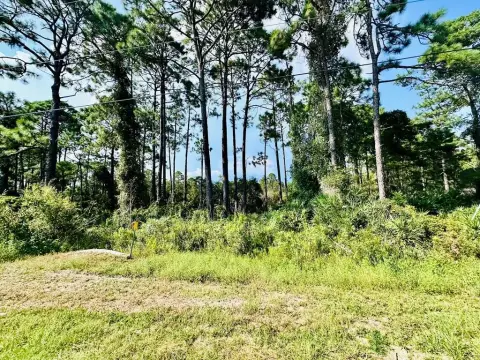 Eastpoint, FL Acreage Lot
