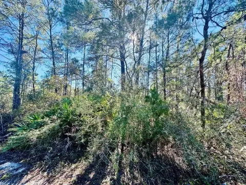 Carrabelle, FL Land with Views