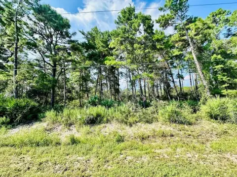 Eastpoint, Florida Residential Land