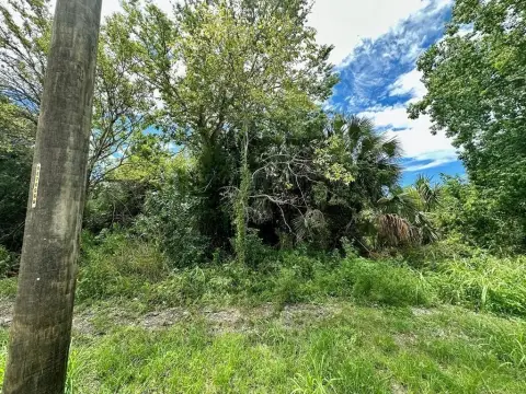 Apalachicola Commercial Lots with Water View