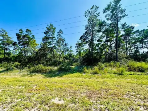 Carrabelle Acre Parcel on Airport