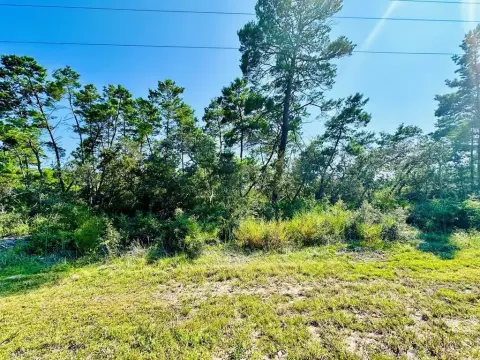 Carrabelle, FL Acre Parcel