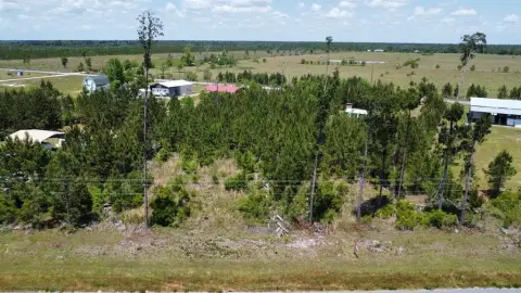 Wewahitchka Residential Land For Sale