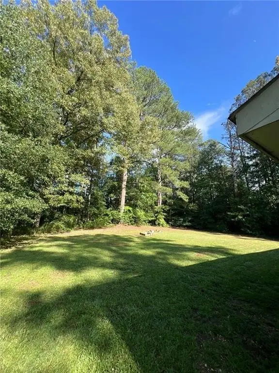 Picture 5