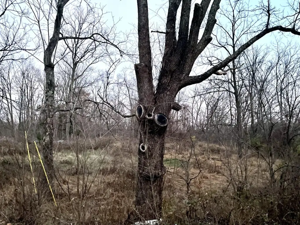 Picture 5