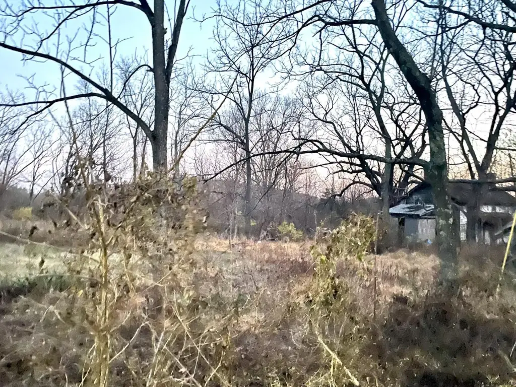 Picture 6