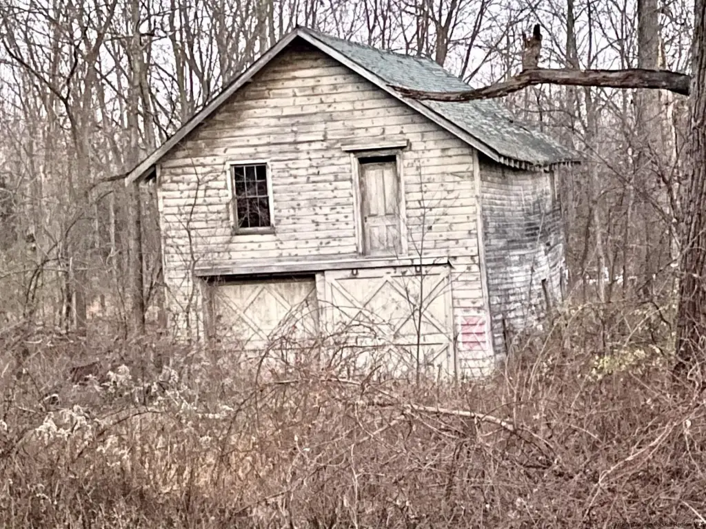 Picture 5