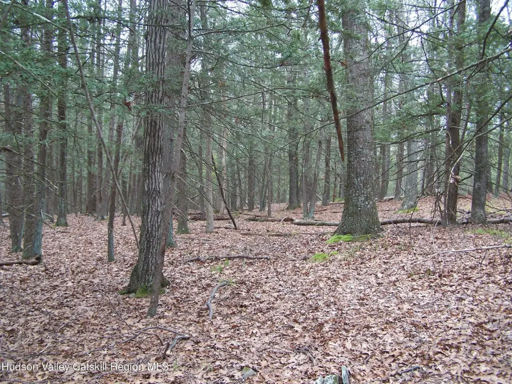 Picture 8